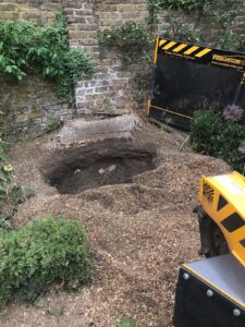 Stump Removal job in London