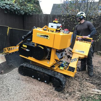 Tree Stump Removal, Grinding - Kent | London Tree Stump Removal Co.